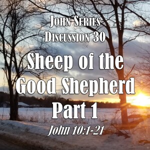 John Series - Discussion 30:  Sheep of the Good Shepherd - Part 1 (John 10:1-21)