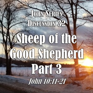 S05 E32 John Series - Discussion 32:  Sheep of the Good Shepherd - Part 3 (John 10:11-21)
