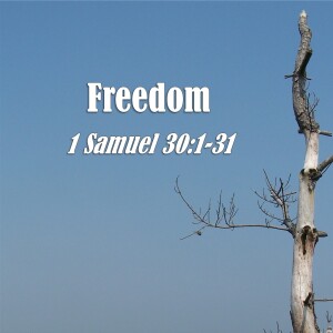 1 Samuel Series - Discussion 35: Freedom (1 Samuel 30:1-31)