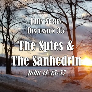 John Series - Discussion 35:  The Spies & the Sanhedrin (John 11:45-57)