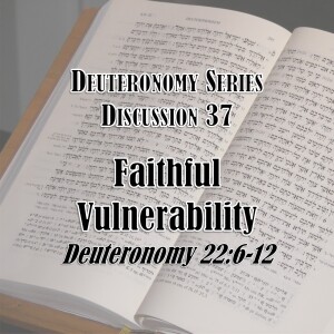 S16 E37 Deuteronomy Series - Discussion 37: Faithful Vulnerability (Deuteronomy 22:6-12)