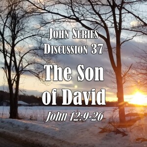 John Series - Discussion 37:  The Son of David (John 12:9-26)