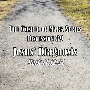 S01 E39 Mark Series - Discussion 39: Jesus' Diagnosis (Mark 11:12-21)