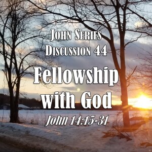 John Series - Discussion 44:  Fellowship with God (John 14:15-31)