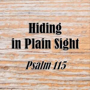 S03 E42 Hiding in Plain Sight (Psalm 115)