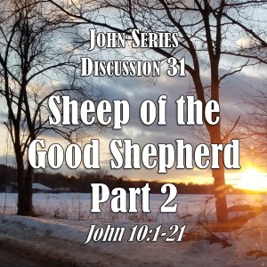 John Series - Discussion 31:  Sheep of the Good Shepherd - Part 2 (John 10:1-21)