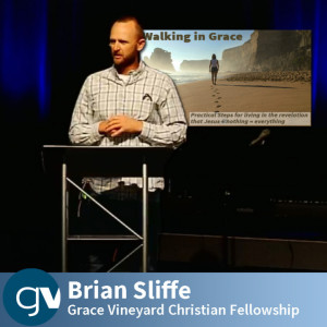 Walking in Grace: Practical steps for living in the revelation that Jesus+nothing=everything