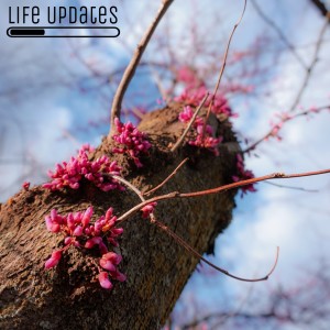 Life UPdates 1.0: Filled With the Spirit