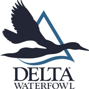 Duck Numbers From Delta Waterfowl - We've Got The Boys On The X