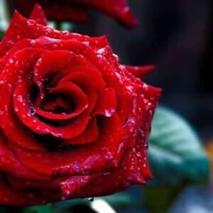 #7. - ASK GOD TO ARRANGE KINDNESS FOR YOU.