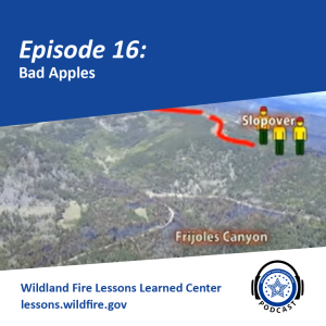 Episode 16 - Bad Apples