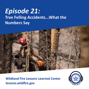 Episode 21 - Tree Felling Accidents...What The Numbers Say