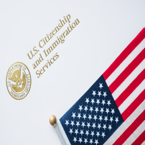 Everything You Need to Know About Filing Your Own Citizenship Application