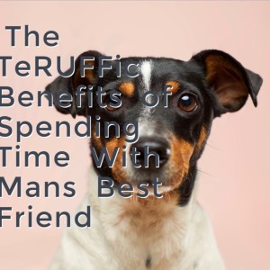 The TeRUFFIc Benefits of Spending Time with Man‘s Best Friend