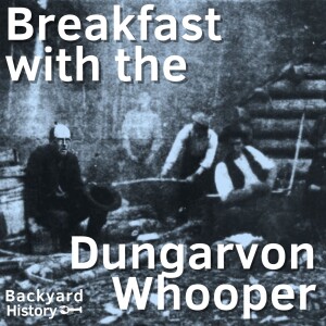 Breakfast with the Dungarvon Whooper