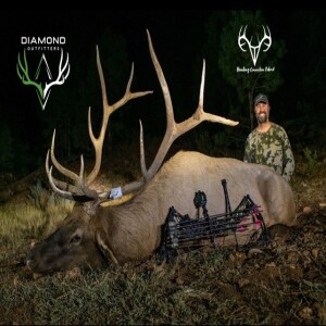 Big Game, Big Country: The Story Behind Diamond Outfitters with Dan Adler