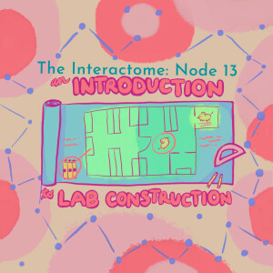 Episode 13: An Introduction to Lab Construction