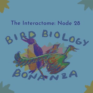 Episode 28: Bird Biology Bonanza