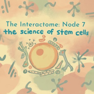 Episode 7: The Science of Stem Cells