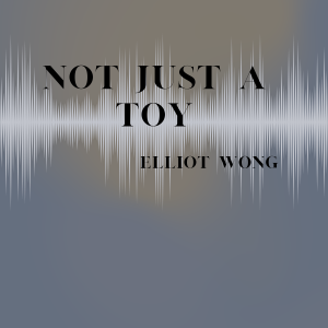 Not Just a Toy