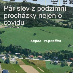 Pár slov z podzimní procházky nejen o covidu