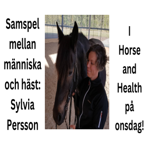 Samspel mellan häst och människa! Podcast Sylvia Persson (Swedish)