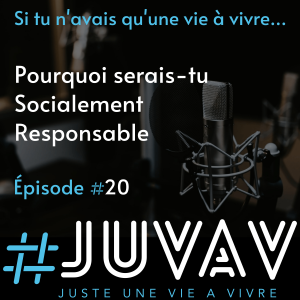 E20 - Pourquoi serais-tu socialement responsable ?