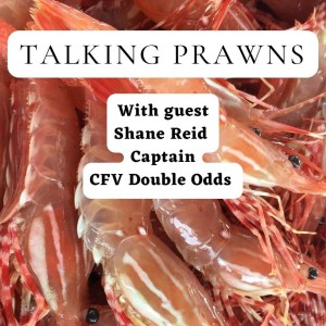Season 1: Episode 2: Talking Prawns with Shane Reid