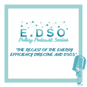 The recast of the Energy Efficiency Directive and DSOs