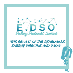 The recast of the Renewable Energy Directive and DSOs