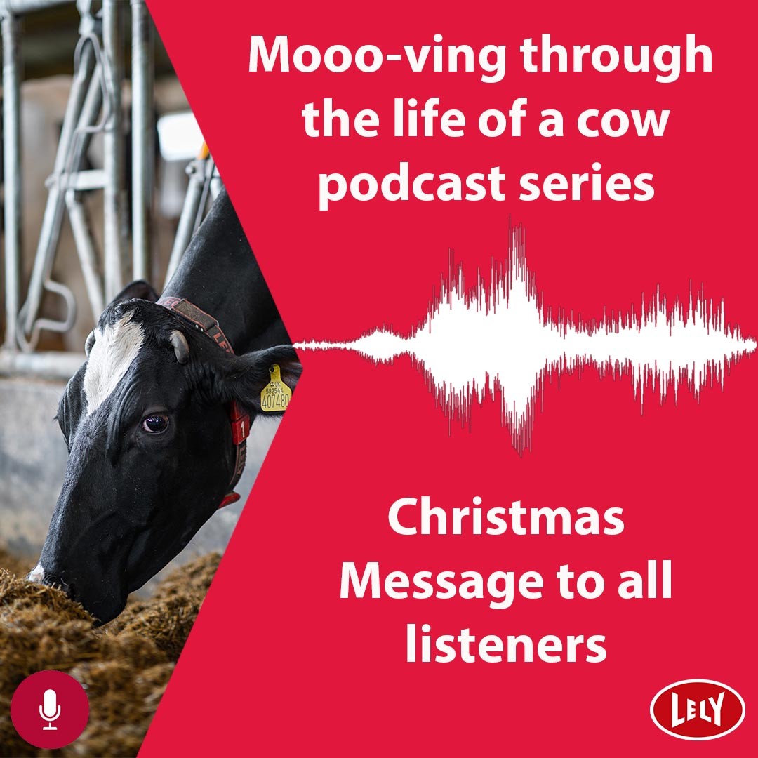 A short Christmas message for all our listeners