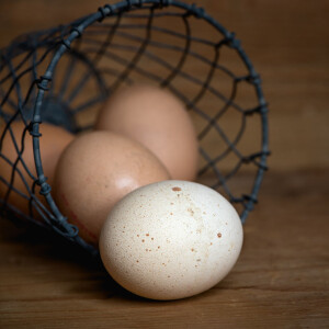 Don’t Put All Your Eggs in One Basket...Or Should You?