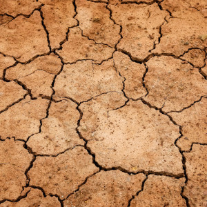 Are You Planning for a Financial Drought?