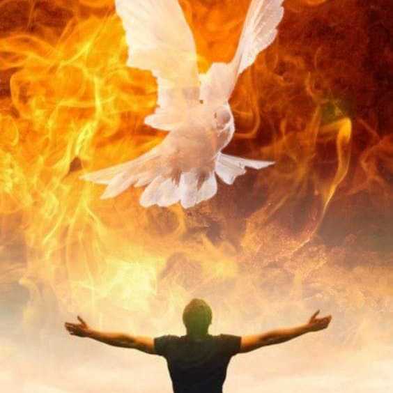 DIVINE ALIGNMENT Ep.201🔥 [HOLY SPIRIT ATMOSPHERE OF FIRE - FOR REVIVAL • DISCERNMENT • FRUITFULNESS]