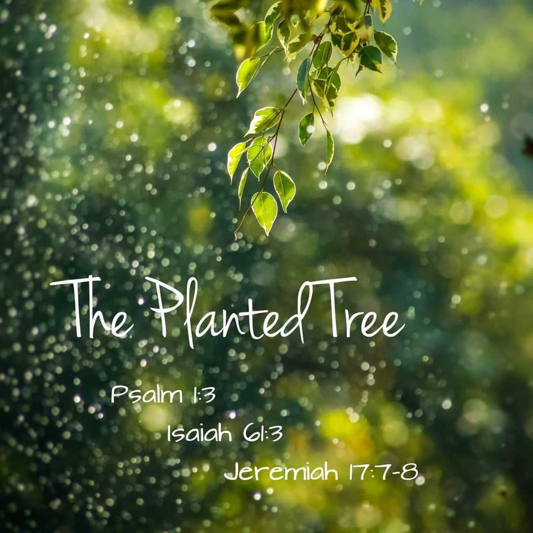 PRAYERS FOR GODLY VIRTUES & DIVINE BLESSINGS 🔥P25🕥 |FOR SEASONS OF FASTING • Part 10