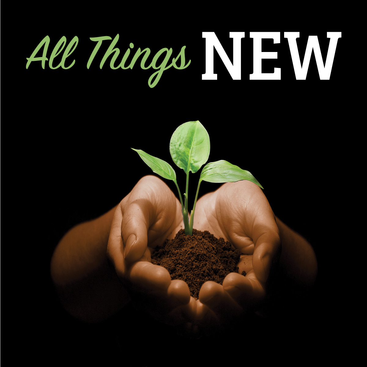 All Things New: Whatever It Takes