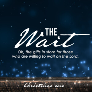 The Wait (John 3)