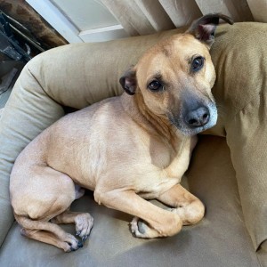 FFH 4.10.21 Murphy Baypath Hopkinton