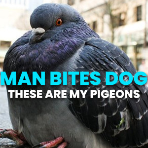 120 - These Are My Pigeons