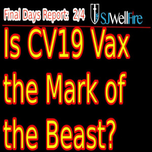 Is the CV19 Vaccine the Mark of the Beast? FDR #88