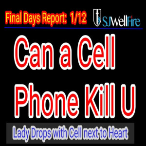 Was a Cell Phone Involved with a Lady’s Apparent Death? Was She Poked and this or an EMF frequency cause her fall? Final Days Report #74