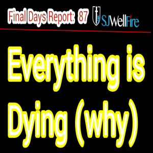 World is Dying Literally. 60% Less Seeds Being Spread.. FDR #89