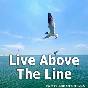 Live Above the Line