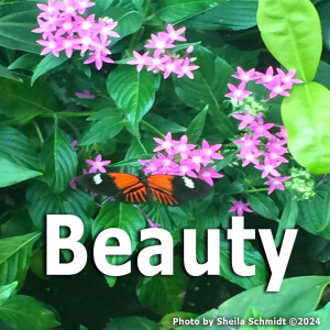 Beauty
