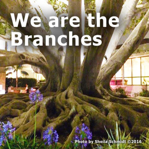 We are the Branches