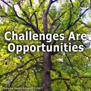 Challenges Are Opportunites