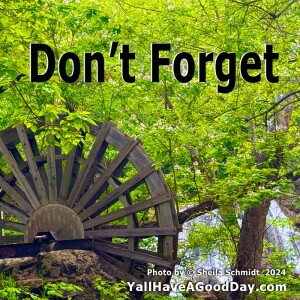 Don't Forget