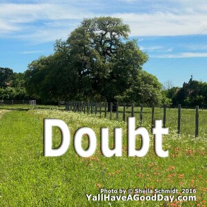 Doubt