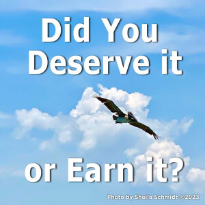 Did You Deserve or Earn It?