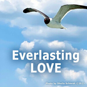 Everlasting Love